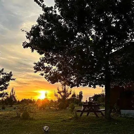 Da Laje - Serra Da Estrela 5*